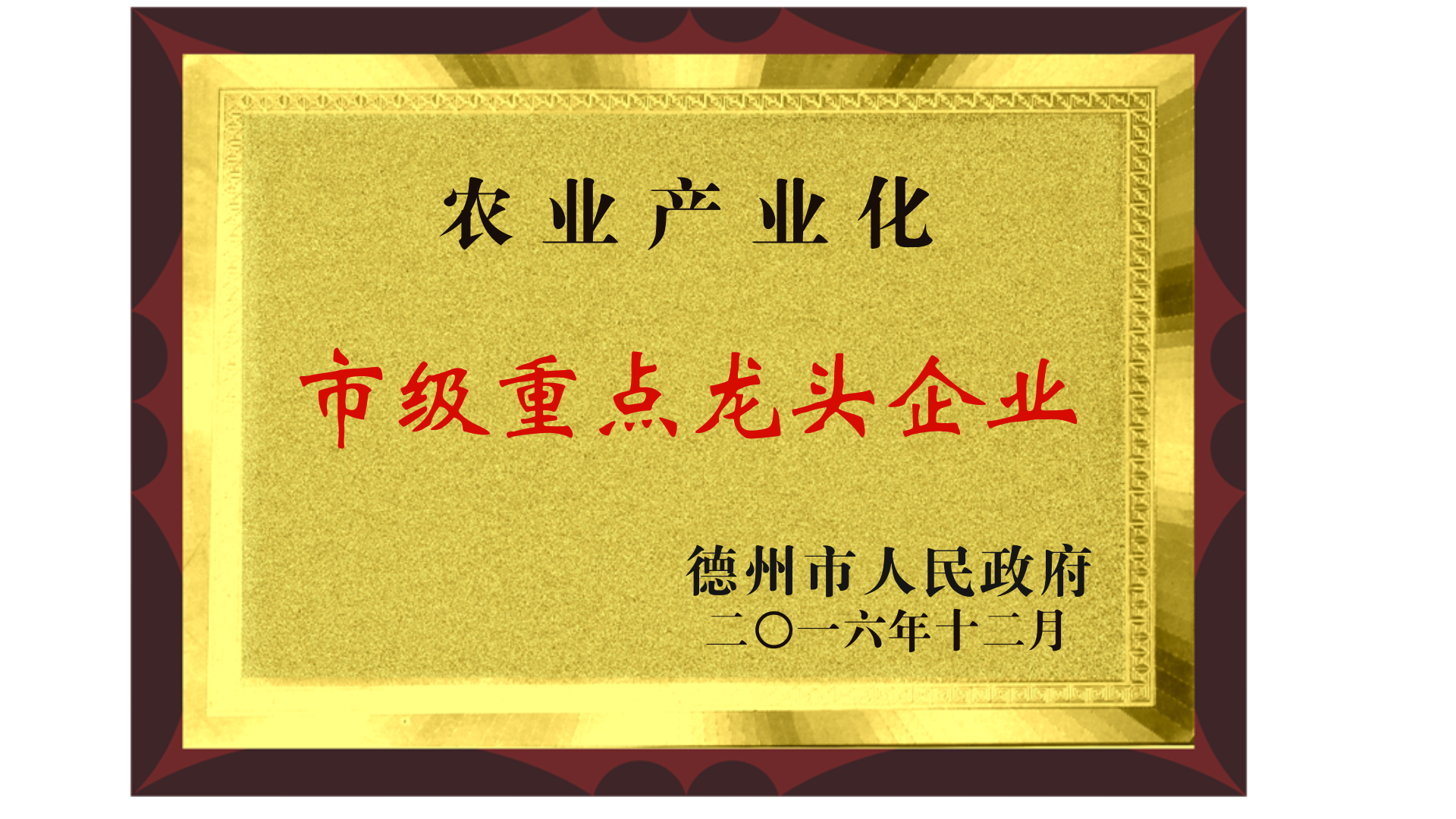 龙8中国,龙8官方网站,龙8中国唯一官方网站_项目4618